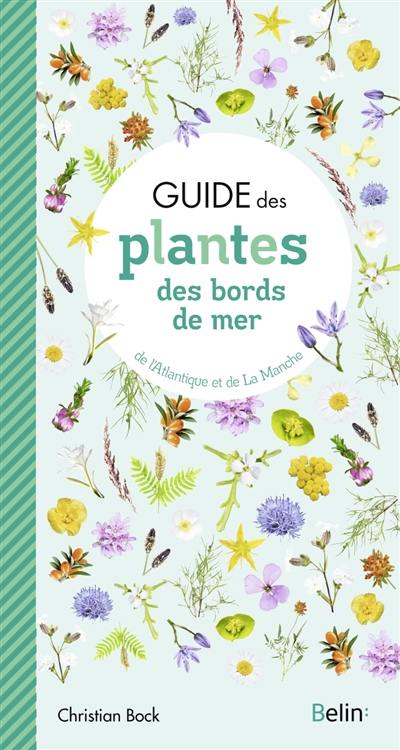 Guide des plantes des bords de mer : de l'Atlantique et de la Manche