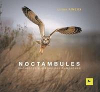 Noctambules : chouettes & hiboux des campagnes