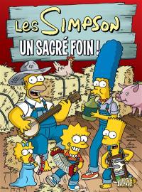 Les Simpson. Vol. 2. Un sacré foin !