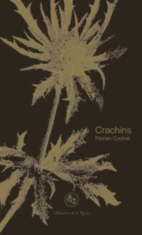 Crachins