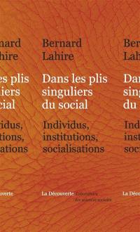 Dans les plis singuliers du social : individus, institutions, socialisations