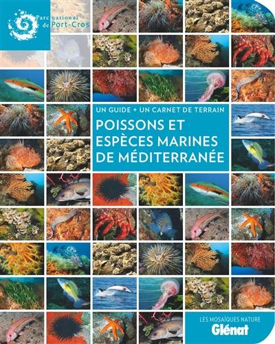 Poissons et espèces marines de Méditerranée : un guide + un carnet de terrain