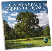 Les plus beaux arbres de France : calendrier 2024