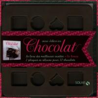 Mini-délices au chocolat