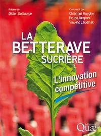 La betterave sucrière : l'innovation compétitive
