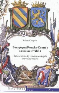 Bourgogne Franche-Comté : les relations ambiguës entre deux régions soeurs et rivales