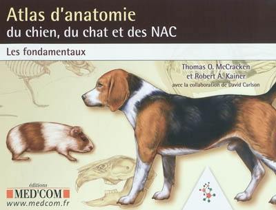 Atlas d'anatomie du chien, du chat et des NAC : les fondamentaux