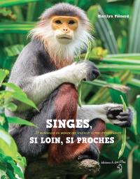 Singes, si loin, si proches : 25 merveilles du monde des singes et autres étonnements