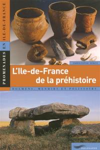 L'Ile-de-France de la préhistoire : dolmens, menhirs et polissoirs