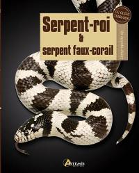 Serpent-roi & serpent faux-corail : Lampropeltis sp.