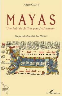 Mayas : une forêt de chiffres pour (ra)compter