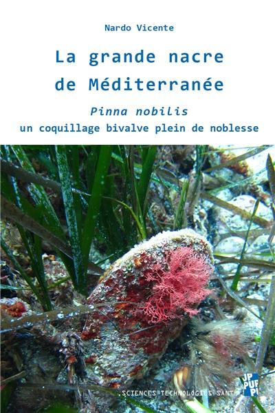 La grande nacre de Méditerranée : Pinna nobilis : un coquillage bivalve plein de noblesse