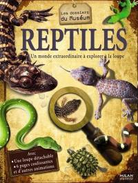 Reptiles : un monde extraordinaire à explorer à la loupe