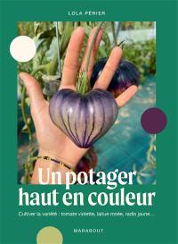 Un potager haut en couleur : cultiver la variété : tomate violette, laitue rosée, radis jaune...