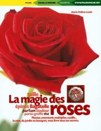 La magie des roses : taille, porte-greffe, couleur, thé, parfum, épine, Bagatelle