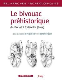 Le bivouac préhistorique du Buhot à Calleville (Eure) : caractérisation d'un assemblage lithique lamino-lamellaire de la fin du paléolithique supérieur