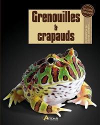 Grenouilles & crapauds : Ceratophrys sp., Litoria caerulea...