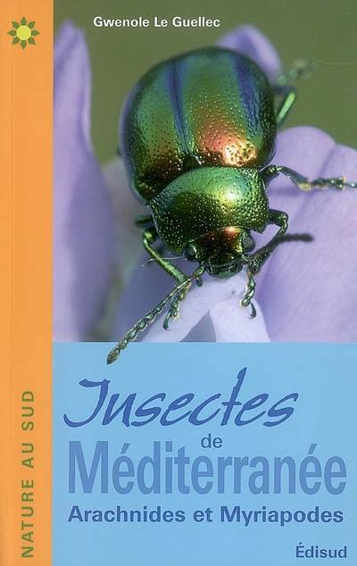 Insectes de Méditerranée : arachnides et myriapodes