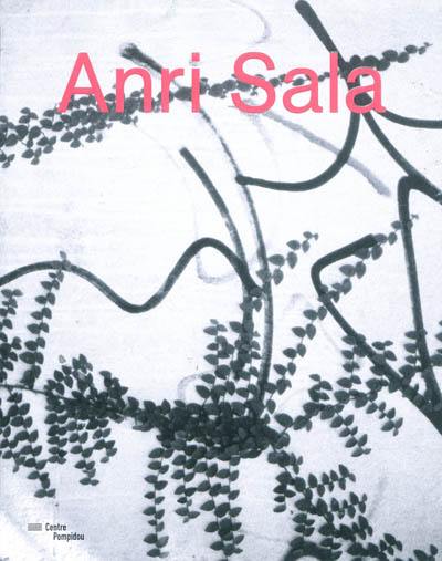 Anri Sala : exposition, Paris, Centre Pompidou, Galerie Sud, du 3 mai au 6 août 2012