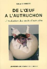 De l'oeuf à l'autruchon : l'incubation des oeufs d'autruche