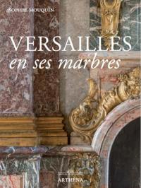 Versailles en ses marbres : politique royale et marbriers du roi