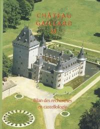 Château-Gaillard : études de castellologie médiévale. Vol. 23. Bilan des recherches en castellologie : actes du colloque international de Houffalize (Belgique), 4-10 septembre 2006