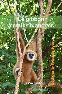 Le gibbon à mains blanches