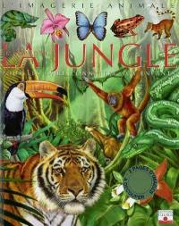 Les animaux de la jungle : pour les faire connaître aux enfants