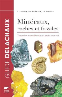 Minéraux, roches et fossiles : toutes les merveilles du sol et du sous-sol