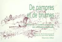 De pampres et de brumes : histoire de la Chapelle-Heulin des origines à nos jours