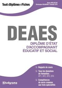 DEAES : diplôme d'Etat d'accompagnement éducatif et social