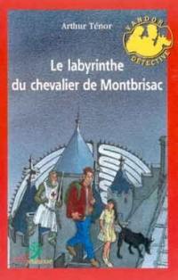Le labyrinthe du chevalier de Montbrisac : une aventure de Vandor détective
