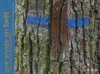 Une année en forêt : arbres et rochers de Fontainebleau