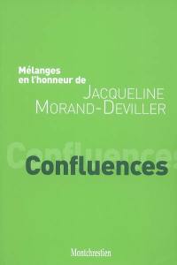 Mélanges en l'honneur de Jacqueline Morand-Deviller : confluences