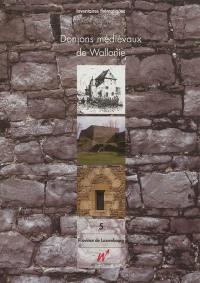 Donjons médiévaux de Wallonie. Vol. 5. Province de Luxembourg : arrondissements de Bastogne, Marche-en-Famenne, Neufchâteau, Virton