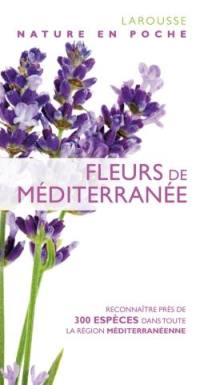 Fleurs de Méditerranée : reconnaître près de 300 espèces dans toute la région méditerranéenne