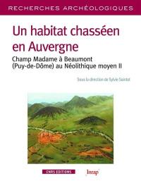 Un habitat chasséen en Auvergne : Champ Madame à Beaumont (Puy-de-Dôme) au néolithique moyen II
