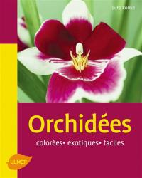 Orchidées : colorés, exotiques, faciles