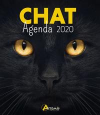 Chat : agenda 2020