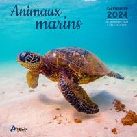 Animaux marins : calendrier 2024 : de septembre 2023 à décembre 2024