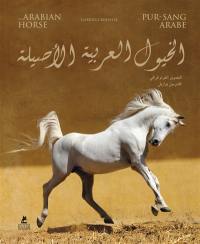 Le pur-sang arabe. The Arabian horse