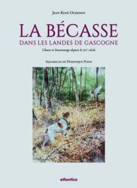 La bécasse dans les landes de Gascogne : chasse et braconnage depuis le XIXe siècle