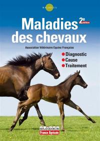 Maladies des chevaux : diagnostic, cause, traitement