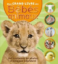 Mon grand livre des bébés animaux