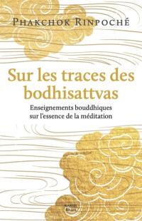 Sur les traces des bodhisattvas : enseignements bouddhiques sur l'essence de la méditation