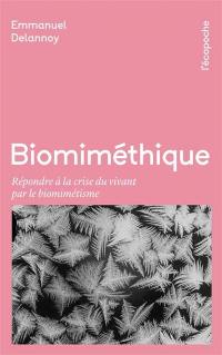 Biomiméthique : répondre à la crise du vivant par le biomimétisme