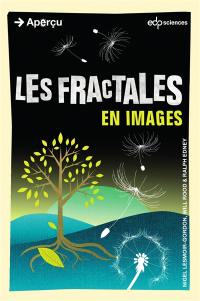 Les fractales en images