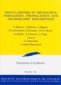 Panoramas et synthèses, n° 38. Singularities in mechanics : formation, propagation and microscopic description