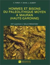 Hommes et bisons du paléolithique moyen à Mauran (Haute-Garonne)