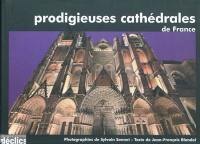 Prodigieuses cathédrales de France